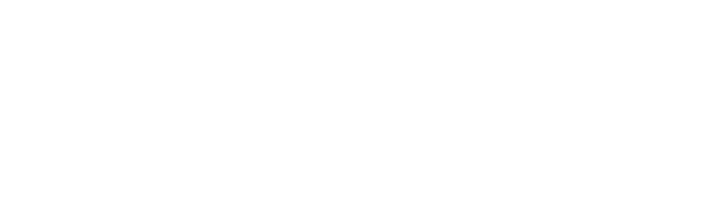 CERMIN303